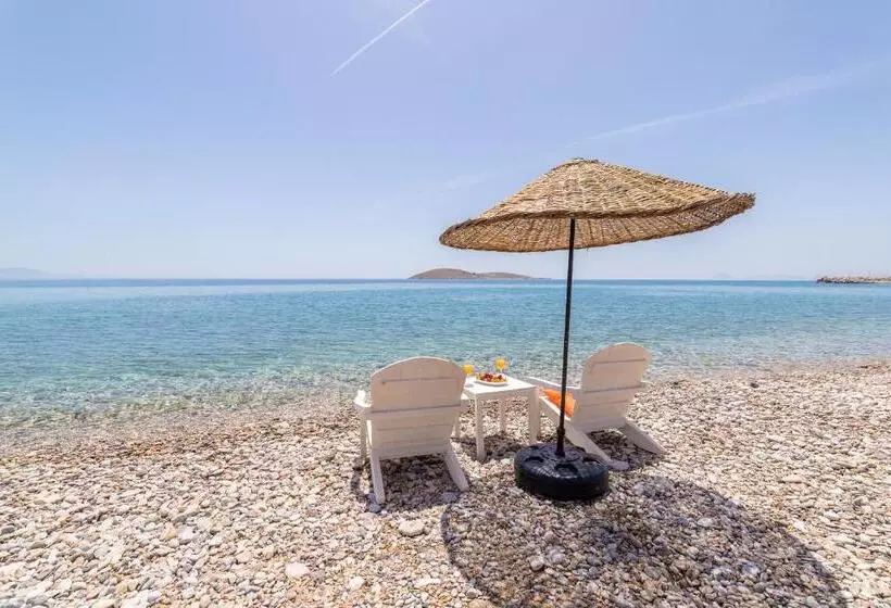 Karia Hotel Palamutbükü