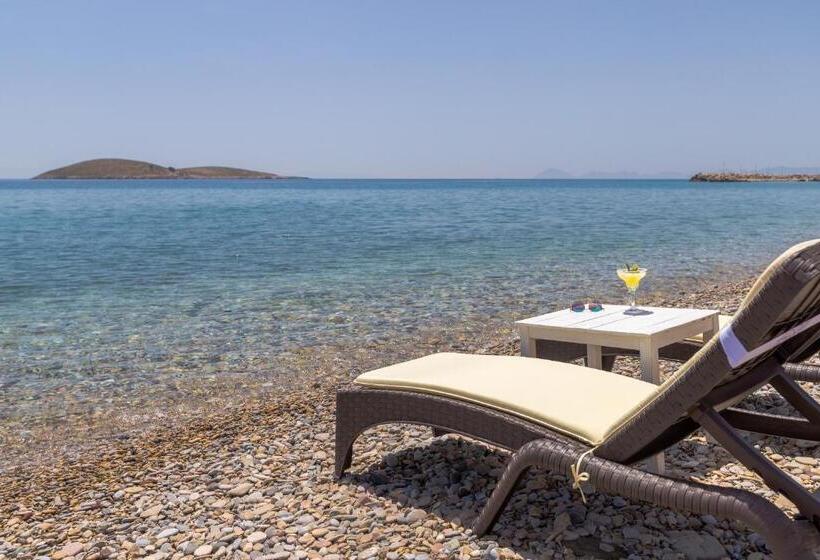 Karia Hotel Palamutbükü