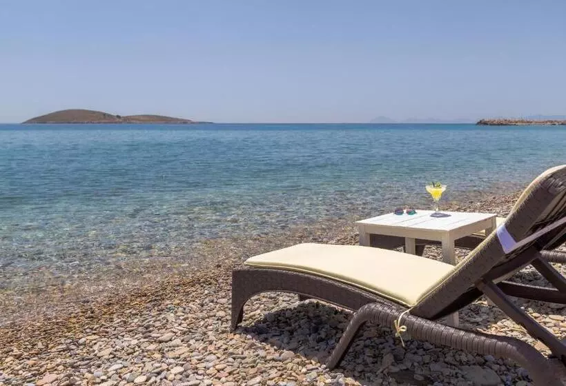Karia Hotel Palamutbükü