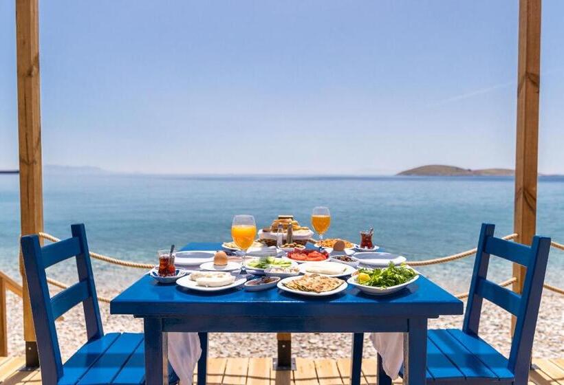 Karia Hotel Palamutbükü