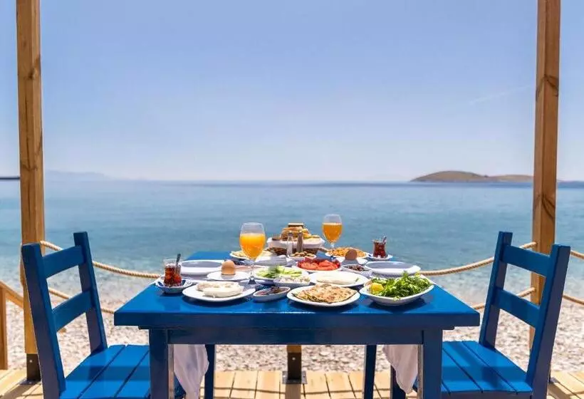 Karia Hotel Palamutbükü