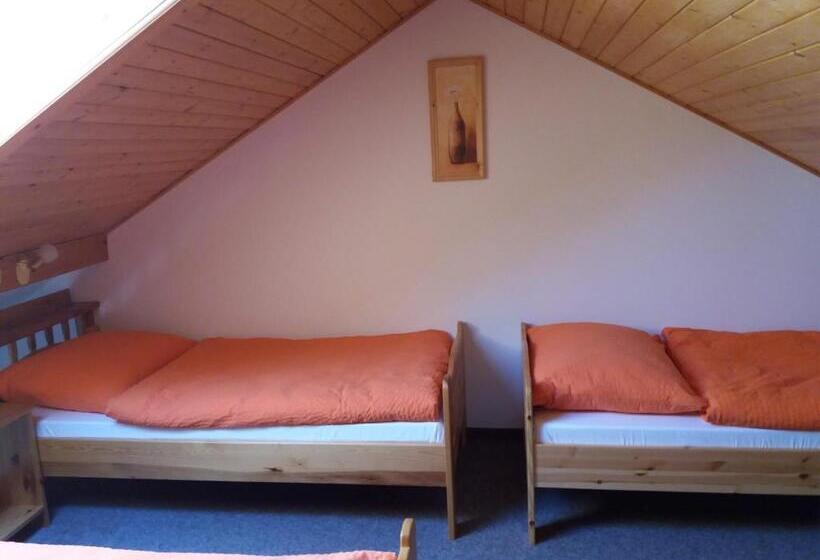 Panzió Penzion Ve Staré škole