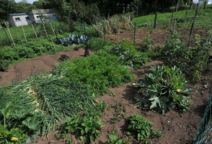 酒店 Auberge De La Providence