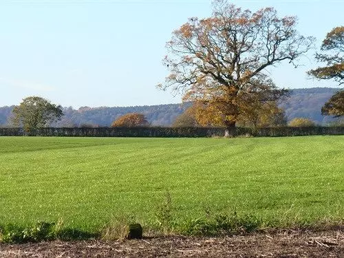 هتل New Hall Farm