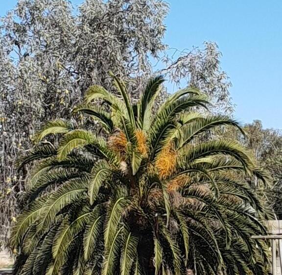 מוטל Kerang Valley Resort