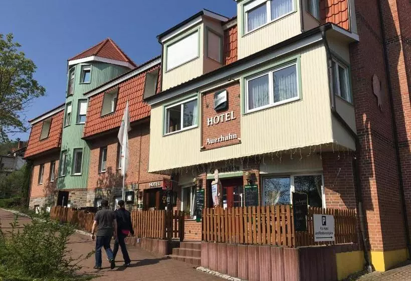 ホテル Stadtgut Auerhahn
