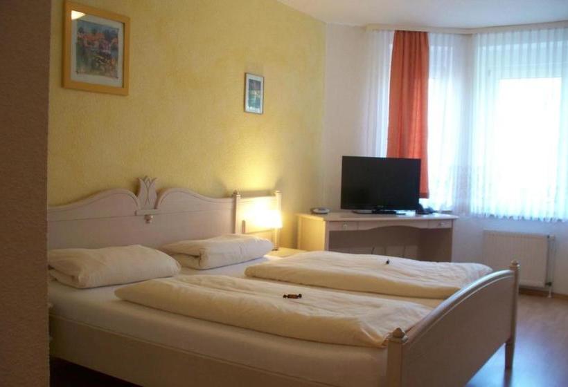 Hotelli Stadtgut Auerhahn