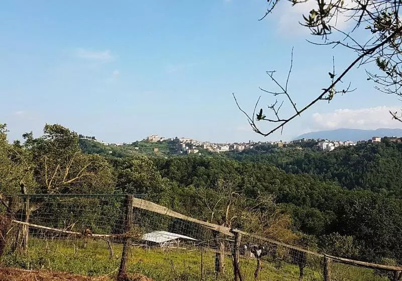 ホテル Agriturismo Cisogna
