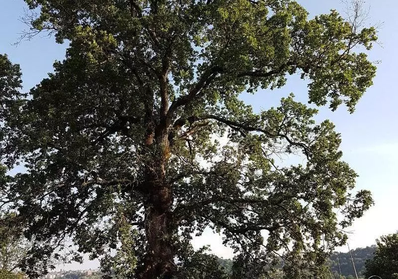 ホテル Agriturismo Cisogna