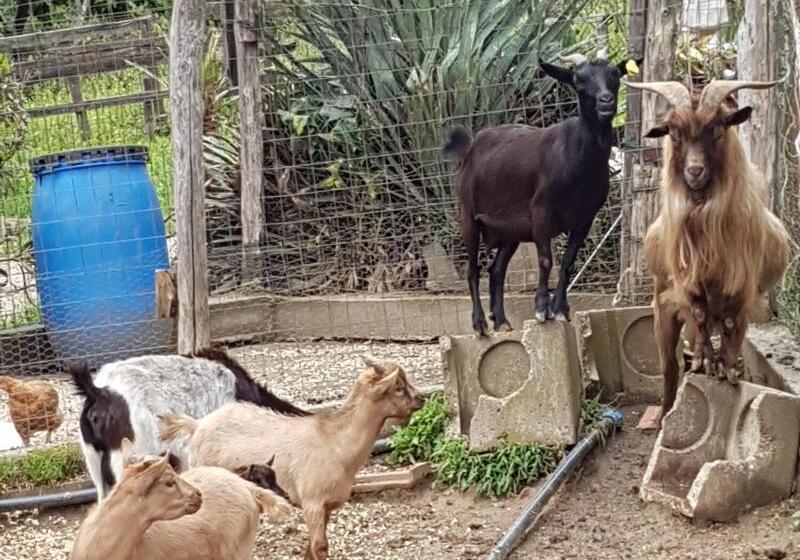 Hotel Agriturismo Cisogna