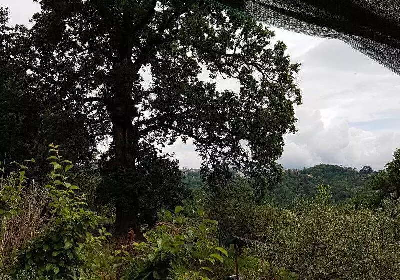 ホテル Agriturismo Cisogna