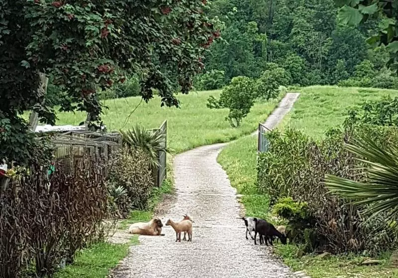 ホテル Agriturismo Cisogna