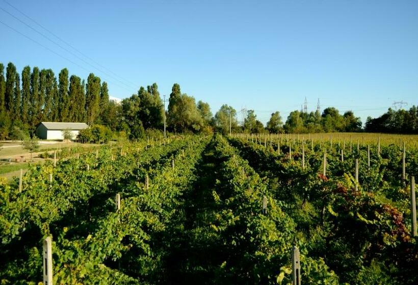 ホテル Agriturismo Dartora