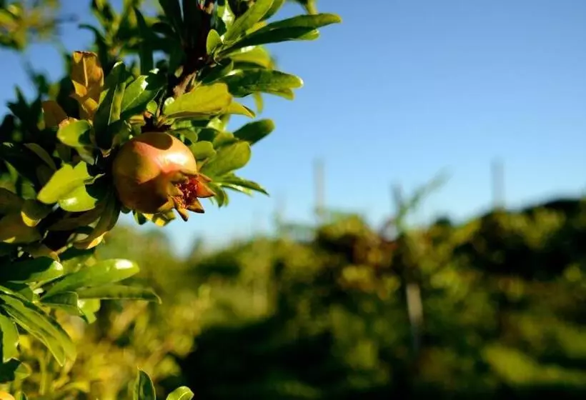 Hotelli Agriturismo Dartora