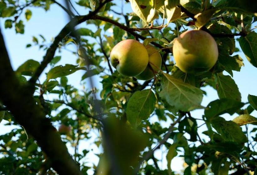 ホテル Agriturismo Dartora