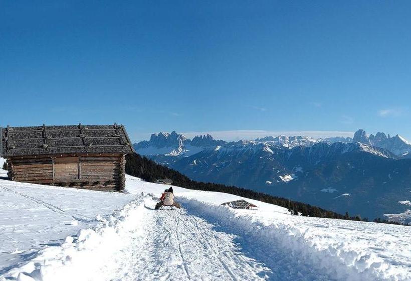 酒店 Appartements Kerschbaumer