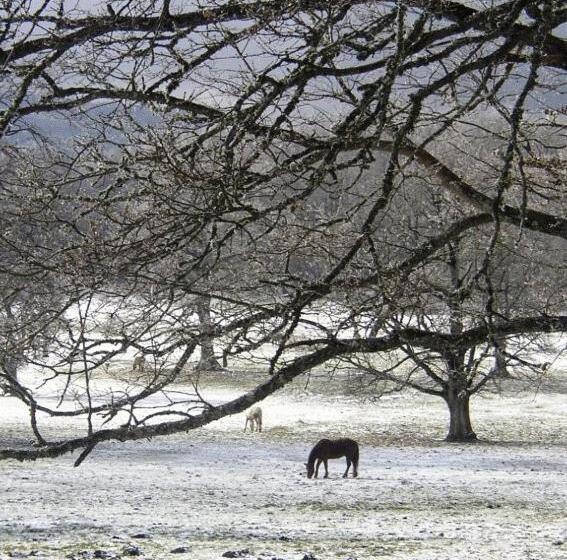 Otel Borgo San Pietro