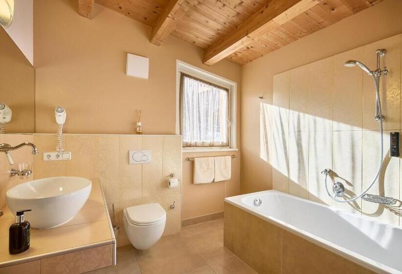 Отель Dolomit Boutique