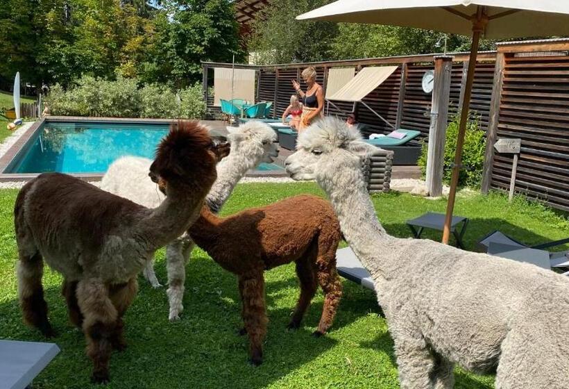 Отель Dolomit Boutique