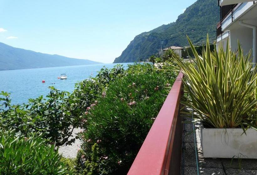 בית מלון כפרי Lido