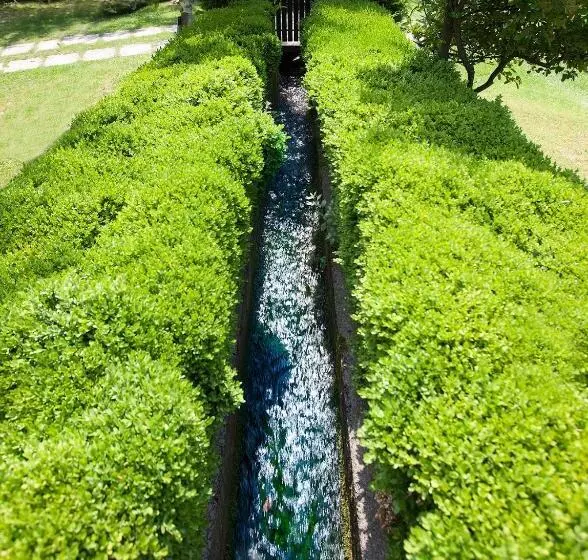 ホテル Residence Parco Lago Di Garda