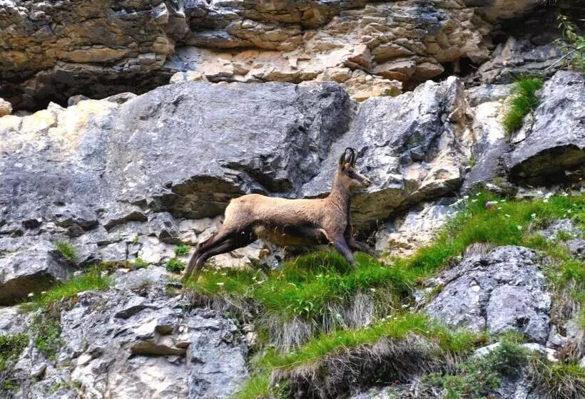 ホテル Teresa