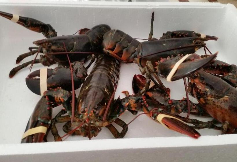 בית מלון כפרי Tosi