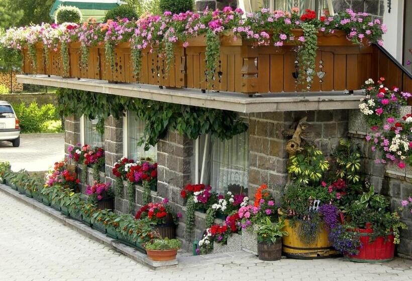 Отель Albergo Trentino