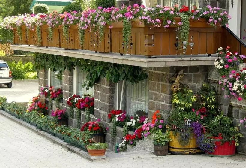 ホテル Albergo Trentino