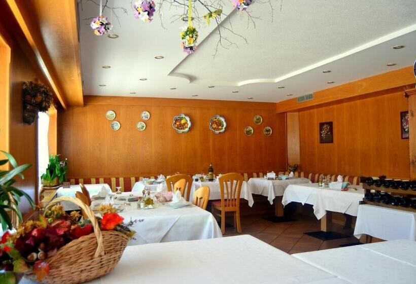 Отель Albergo Trentino
