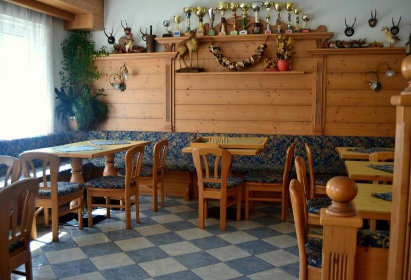 Отель Albergo Trentino