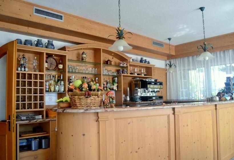 Отель Albergo Trentino