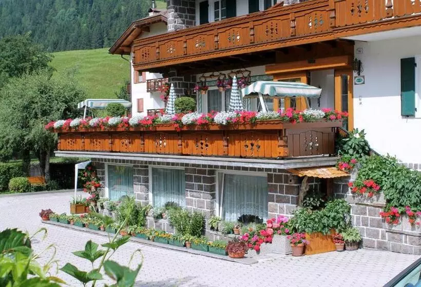 ホテル Albergo Trentino