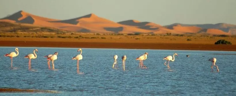 ホテル Auberge Ksar Merzouga
