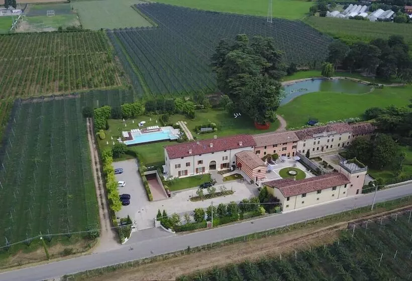 ホテル Belvivere Suites