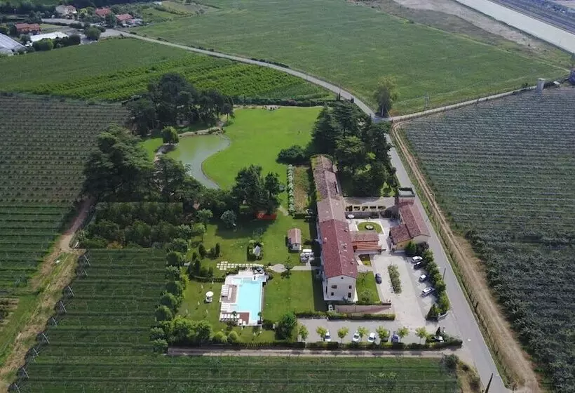 ホテル Belvivere Suites
