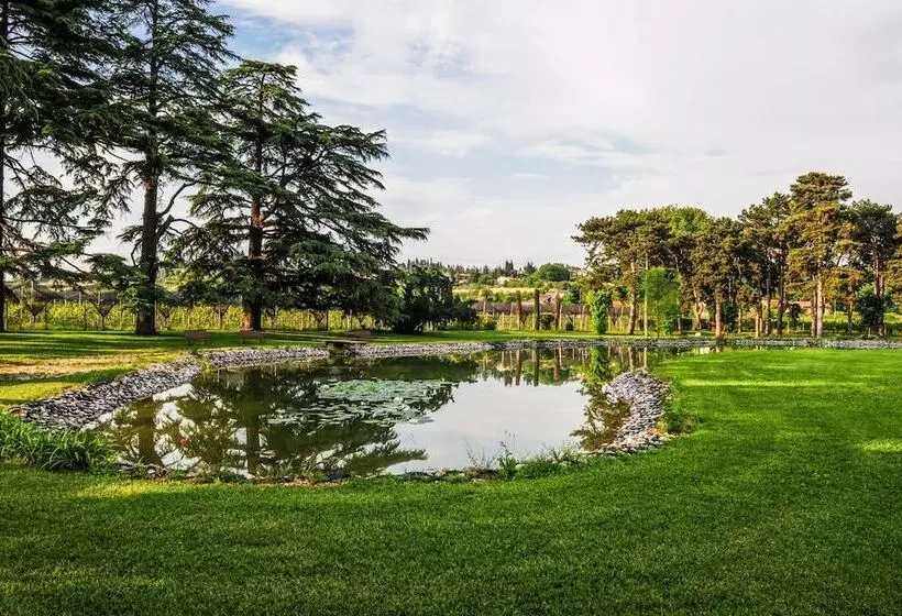 ホテル Belvivere Suites