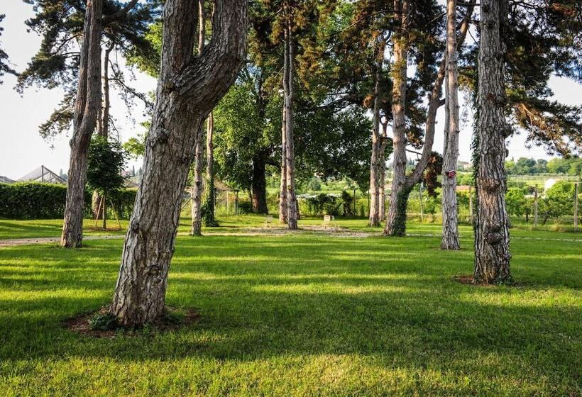 هتل Belvivere Suites