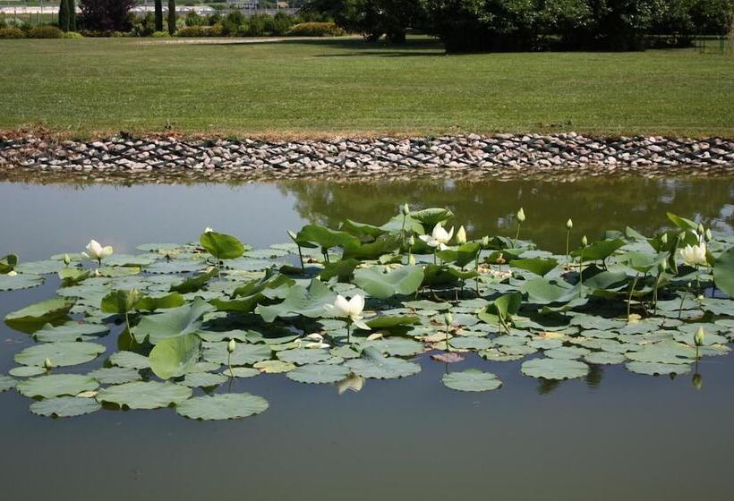 هتل Belvivere Suites