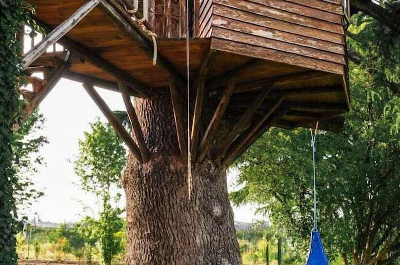 هتل Belvivere Suites