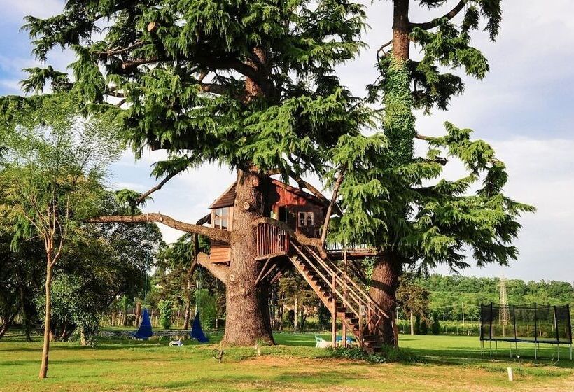 هتل Belvivere Suites