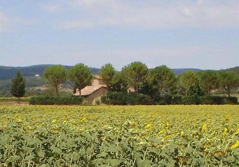 ホテル Casale Il Colombaio Di Toiano