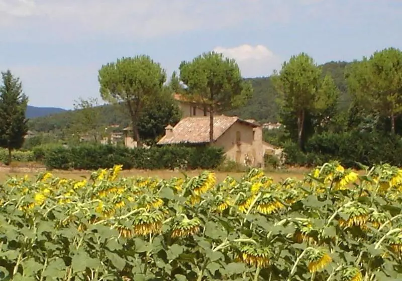 ホテル Casale Il Colombaio Di Toiano