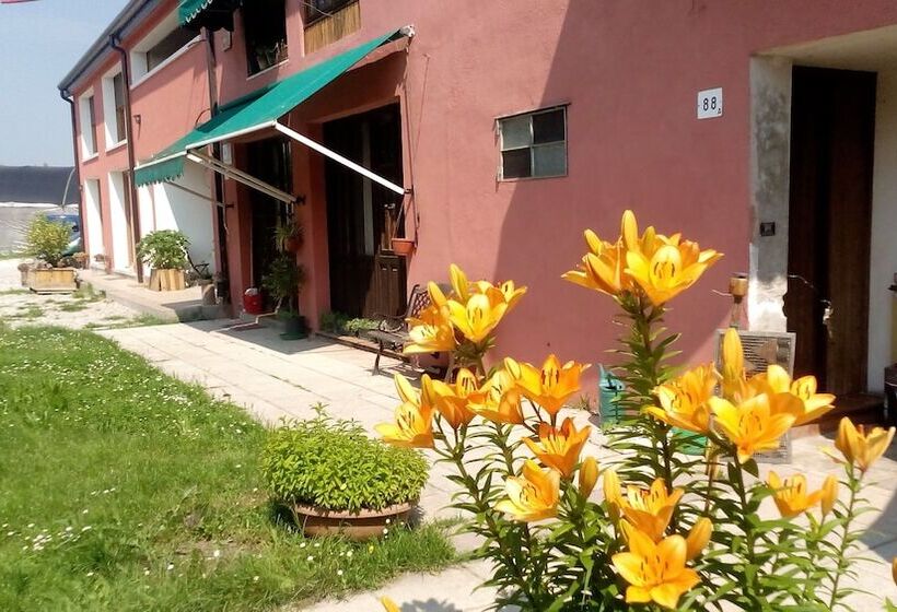 هتل Ecogarden Camping With Rooms