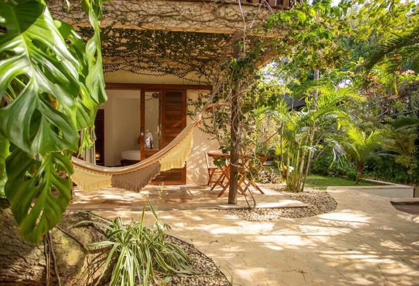 Hotel Hurricane Jeri