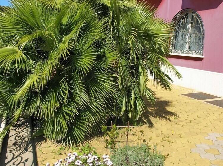 בית מלון כפרי Villa Armin