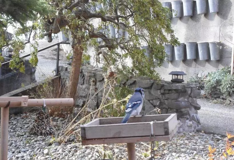 Motel Loupi