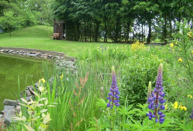 Отель Farm Stay Heidehof