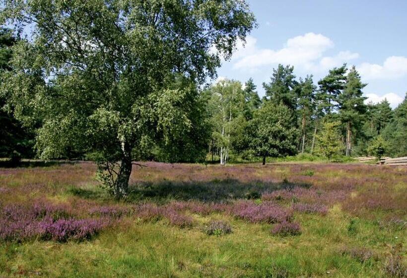 Отель Gasthaus Spieker