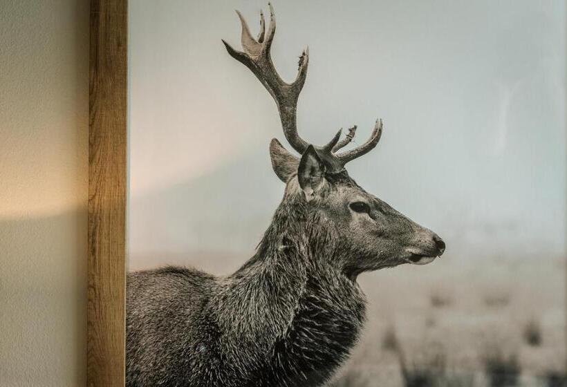 Отель Gasthaus Spieker